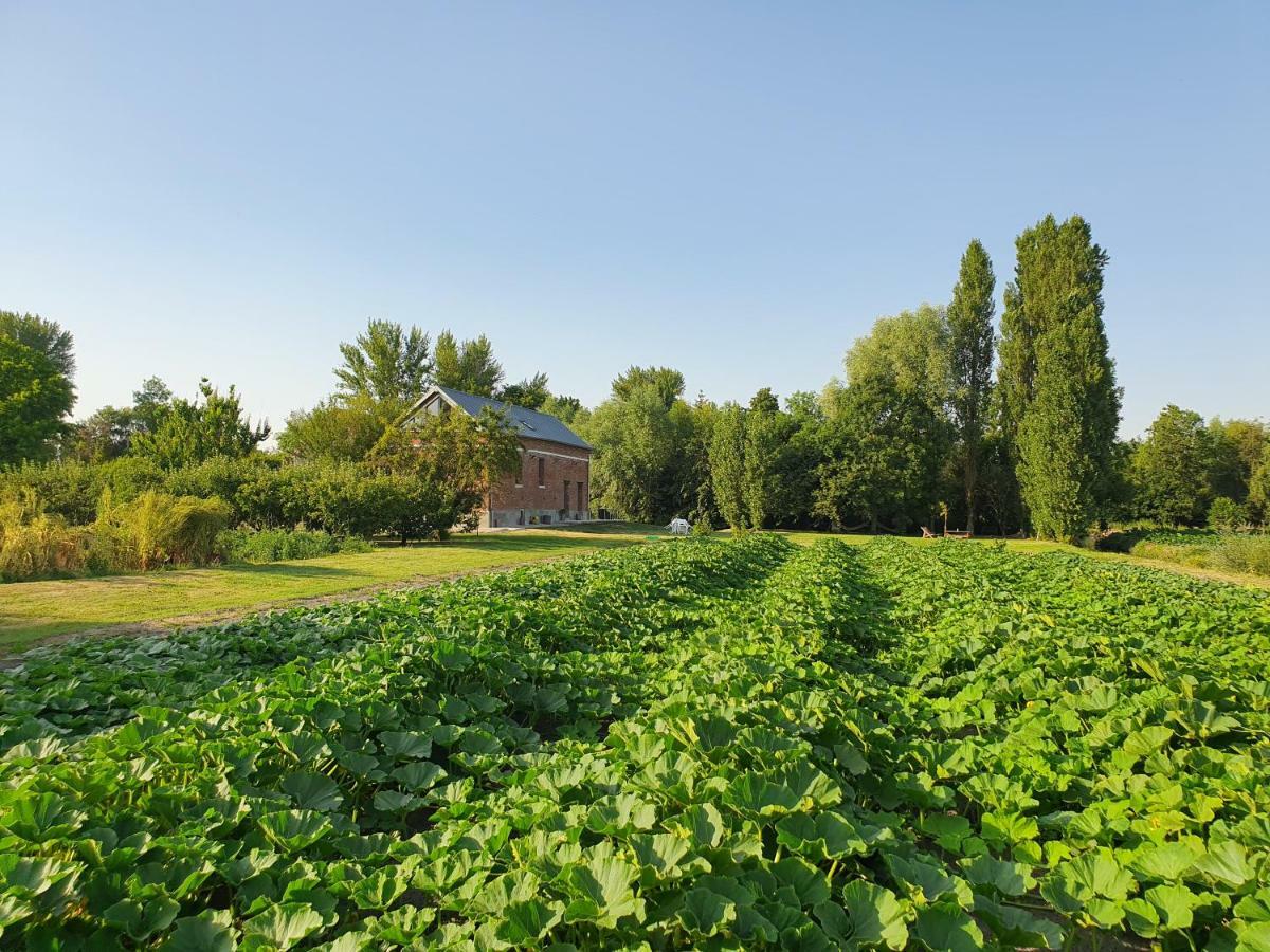 לינה וארוחת בוקר אמיינס "Au Jardin Sur L'Eau" Hortillonnages מראה חיצוני תמונה